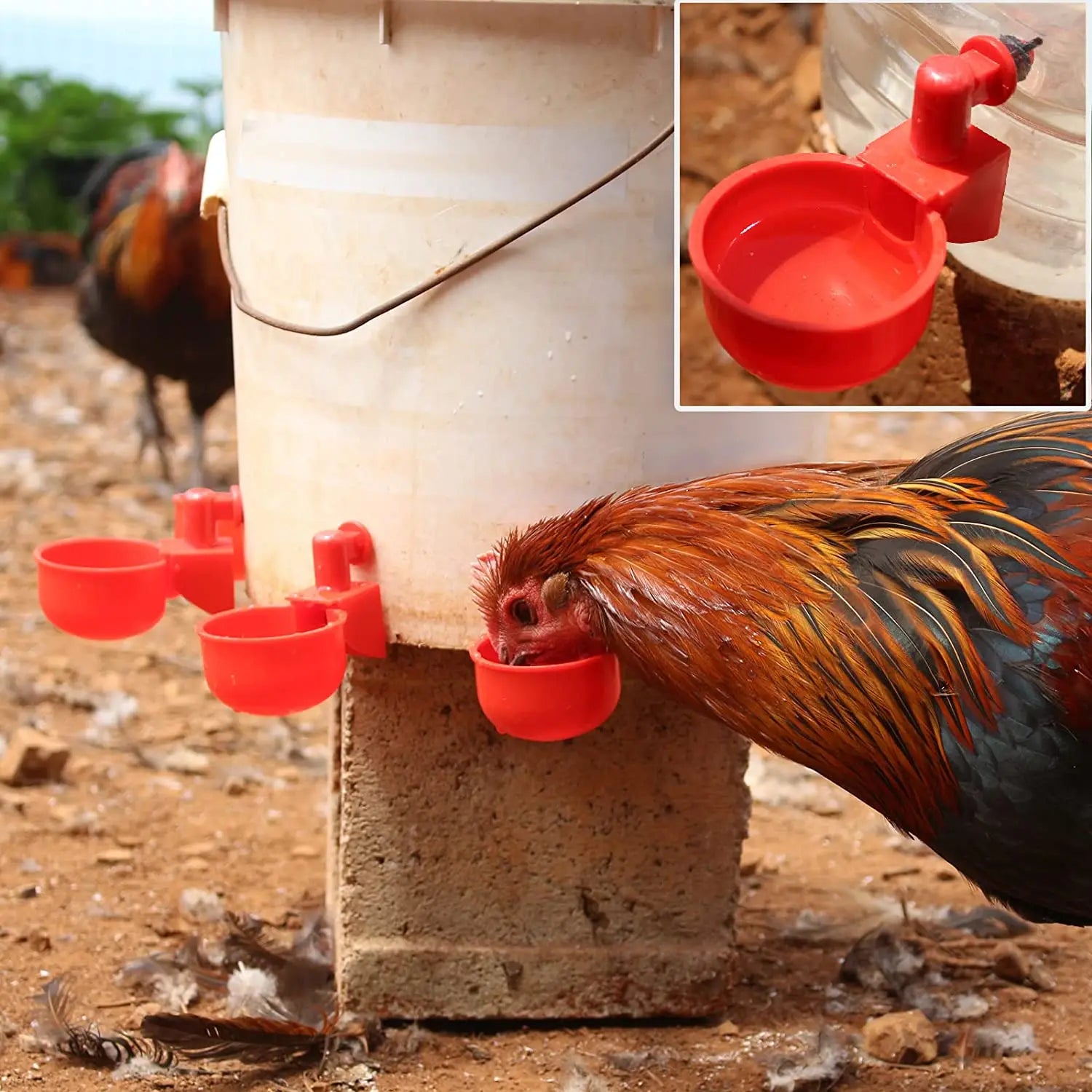 6-36Pcs Chicken Duck Drinking Cup Automatic Drinker Chicken Feeder Plastic Poultry Farm Water Drinking Cups Easy Installation